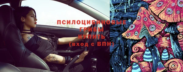 ГАЛЛЮЦИНОГЕННЫЕ ГРИБЫ Приозерск