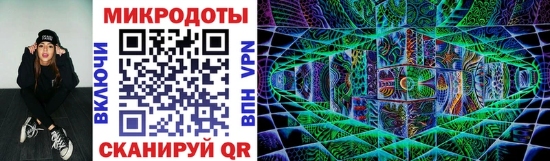 Псилоцибиновые грибы Cubensis  Трубчевск 